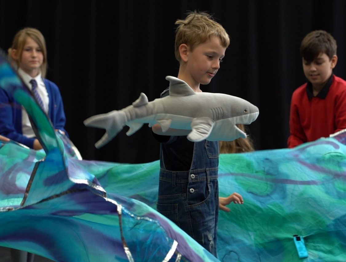 Infant Young Company