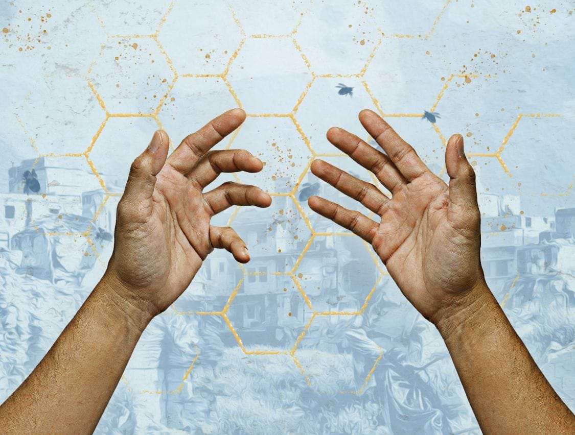 The Beekeeper Of Aleppo