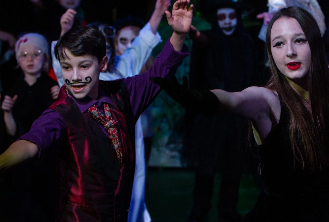 Shine &#8211; The Meadows