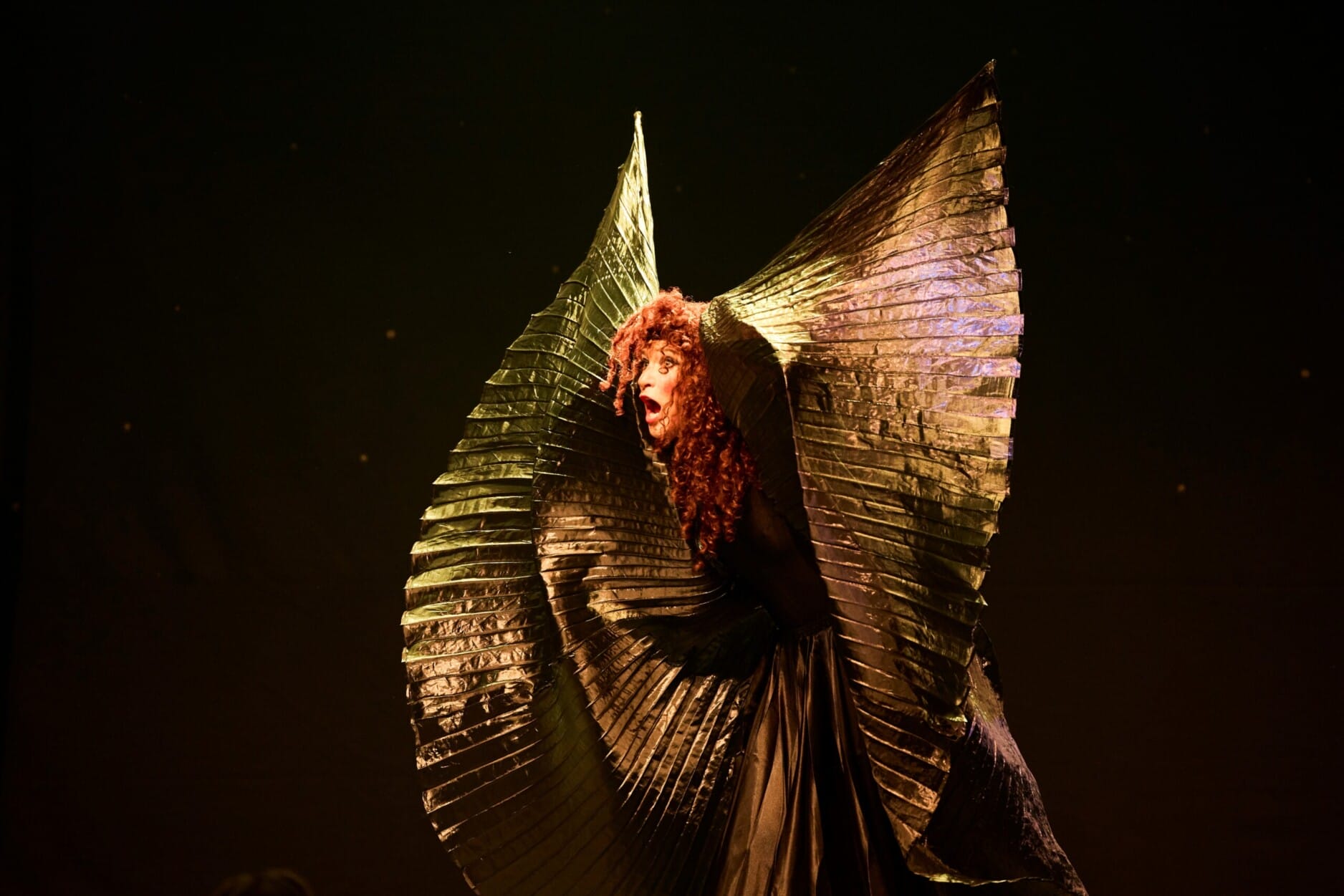 An Evening Without Kate Bush - Photo by Claudio Raschella