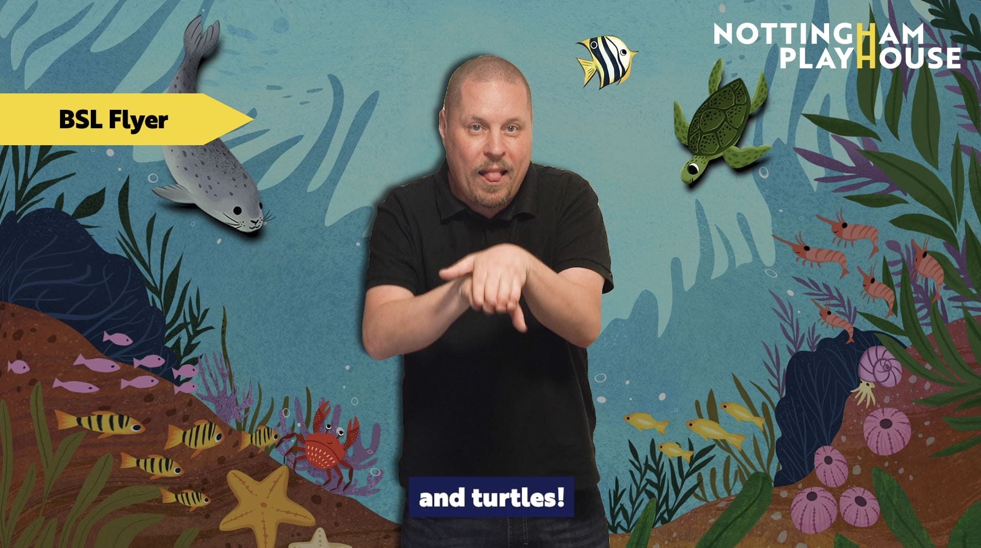 The Little Mermaid - BSL Flyer