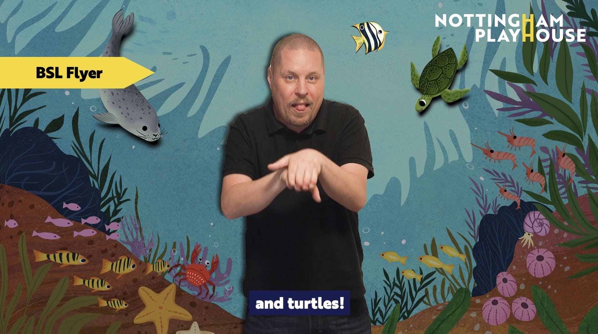 The Little Mermaid - BSL Flyer