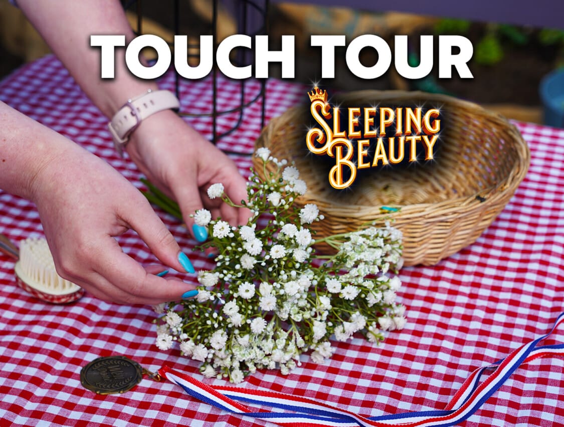 Touch Tour: Sleeping Beauty