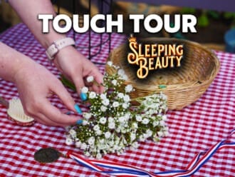 Touch Tour: Sleeping Beauty