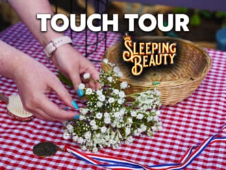 Touch Tour: Sleeping Beauty