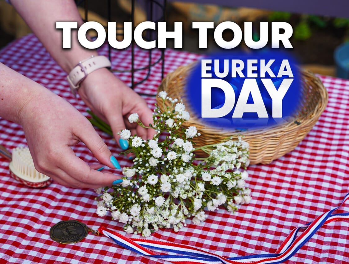 Touch Tour: Eureka Day