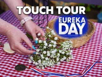 Touch Tour: Eureka Day